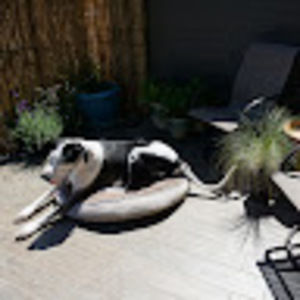 Meet your Posher, Keith